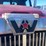 #117-•-2011-western-star-semi-tractor-(has-wi-title)-(forestville,-wi)-image-59