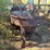 #1029-24-•-lot-1029-24-image-2