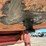 morbark-4600-image-126