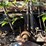 #3545-•-28'-conveyor-image-8