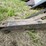 #4011-•-new-idea-corn-picker-image-15