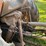 massey-ferguson-2675-image-27