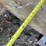 #1029-43-•-lot-1029-43-image-4