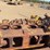 caterpillar-65-image-15