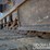 2019-caterpillar-352-image-20