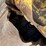 2019-caterpillar-308cr-image-15