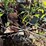 #3545-•-28'-conveyor-image-9
