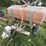 #4032-•-manawa-sprayer-image-3