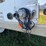 2016-great-dane-53-image-32