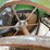 farm-aid-feed-wagon-image-19