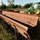 drill,-international-harvestor-16-hole-image-4