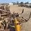 caterpillar-2-ton-image-20