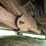 2007-chevrolet-tahoe-ltz-image-38