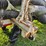 #2133-•-2002-pole-trailer-image-25