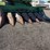 1981-john-deere-7720-image-4