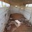 2017-w-w-livestock-trailer-image-12