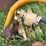 #4019-•-fred-cain-agri-digger-image-2
