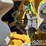 2021-caterpillar-d4-lgp-image-53