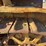 caterpillar-thirty-image-12
