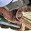 1997-ford-explorer-xlt-image-17