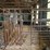 hiqual-calving-pen-image-2