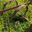 international-401-image-6
