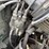 toyota-42-4fg025-forklift-image-36