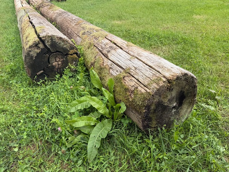 #4041-•-telephone-poles-image-4