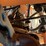 lay-mor-sm-300-3-wheel-broom-image-42
