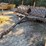 #1029-51-•-lot-1029-51-image-1
