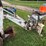 bobcat-700-image-1