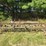 green-farm-cultivator-implement-with-tines-and-gauge-wheels-image-2
