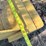 #1029-55-•-lot-1029-55-image-4