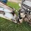bobcat-700-image-7