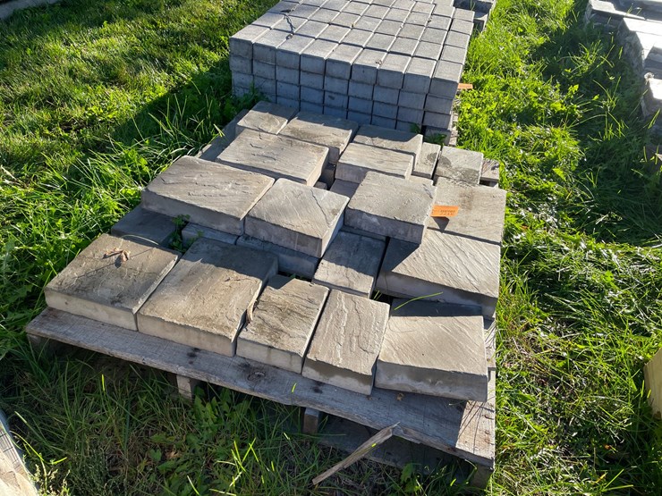 #3177-•-pallet-of-decorative-pavers-image-3