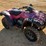 2006-honda-trx350-image-4