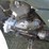 honda-fourtrax-300-image-11