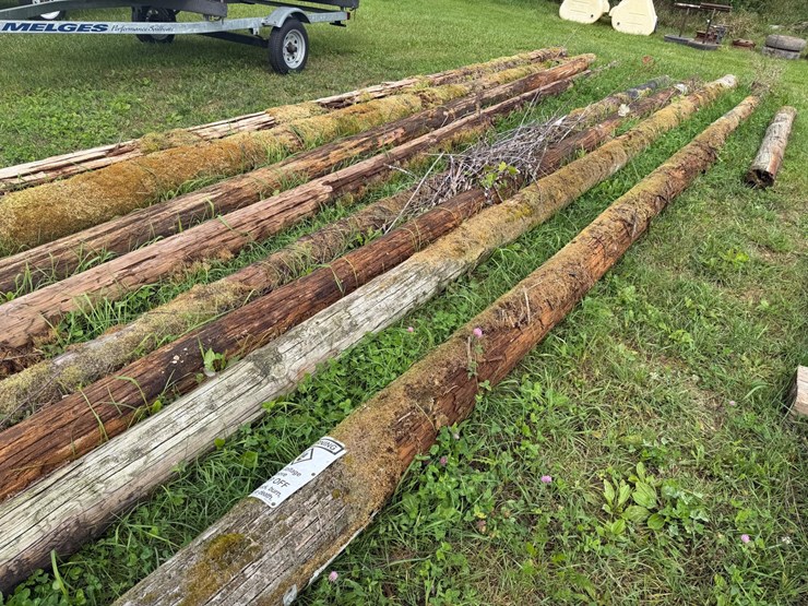 #4041-•-telephone-poles-image-5