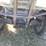 honda-fourtrax-300-image-13