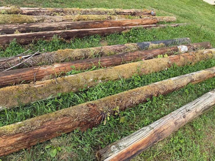 #4041-•-telephone-poles-image-7