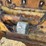 caterpillar-thirty-image-16