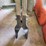manual-post-hole-digger-with-wooden-handles-and-steel-blades-image-2