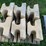 #3199-•-(2)-pallets-of-interlocking-concrete-retaining-wall-blocks-image-7