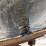 2004-stoughton-trailer-image-10