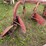 #4062-•-massey-ferguson-mow-board-plow-image-8
