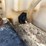 #1835-•-boss-vbx-pre-wet-tank-image-9
