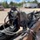 2005-kenworth-t800-image-23