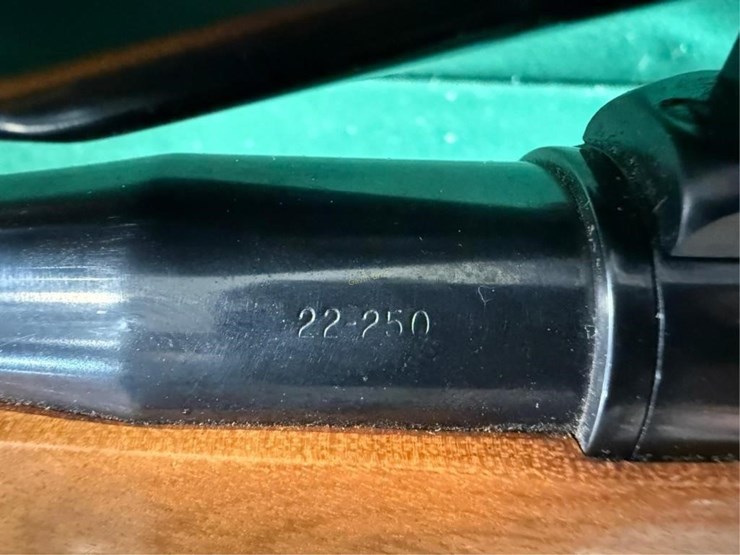savage-mdl.110l-lh-22-250-rem-rifle-image-15
