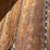 2003-great-dane-53-image-16