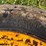 #4037-•-firestone-tires-image-3